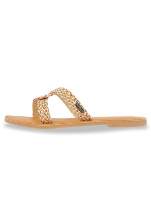 CINA - Mules - camel