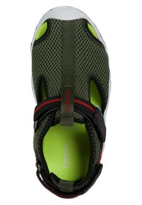 Scarpa da acqua in rete verde con accenti neri e rossi, cinturino regolabile e suola in gomma bianca. Foderata con materiale verde brillante.