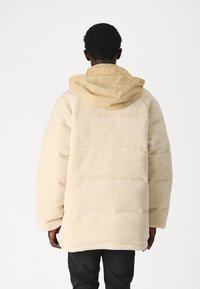 Tommy Jeans Giacca invernale - white