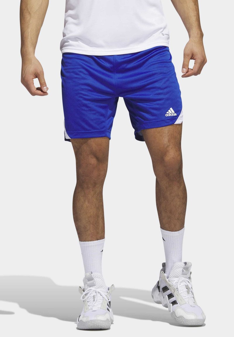 adidas Performance ICON SQUADRA - Kurze Sporthose - royal blue white