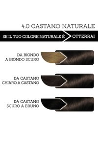 Franck Provost FRANCK PROVOST TINTA CAPELLI COLORE PROFESSIONALE A DOMICILIO VALORIZZA RIFLESSI E BRILLANTEZZA PENNELLO DI PRECISIONE INCLUSO - 3 PACK - Tinte capelli - castano