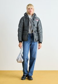 The North Face 30 ANNIVERSARY - Down jacket - moonstone grey