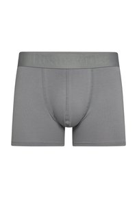 Calzoncillos boxers grises con una banda elástica bordada con el logo. El material es suave y elástico, presenta un diseño ajustado y una longitud de pierna corta.