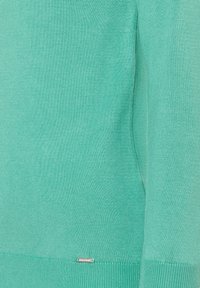 Hellgrüner Strickpullover mit geripptem Saum und Bündchen, ausgestattet mit einem kleinen metallischen Logoschild am unteren Rand.