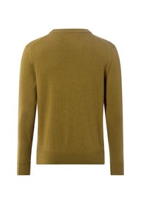 Olivgrüner Pullover mit langen Ärmeln, gerippten Bündchen und Saum, glatter Textur, einfachem Rundhalsausschnitt und ohne sichtbare Muster oder Logos.