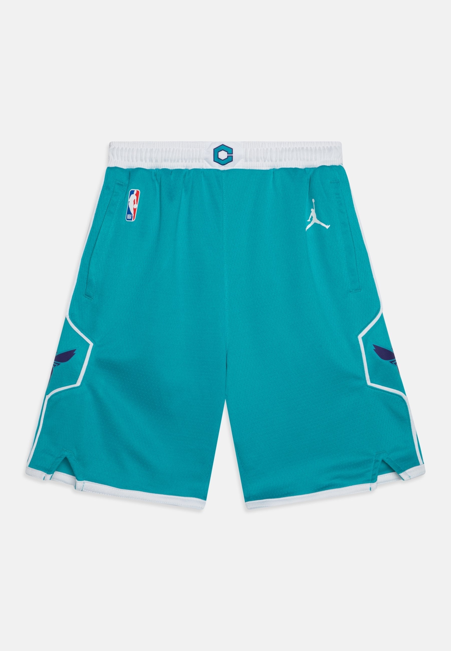 Nike Performance NBA CHARLOTTE HORNETS BOYS ICON SWINGMAN UNISEX