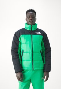 The North Face INSULATED JACKET - Vinterjakker - optic emerald