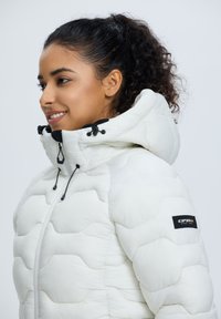 Icepeak BLACKEY - Giacca invernale - puder