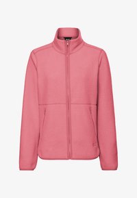 Unausgewählt, evening rose