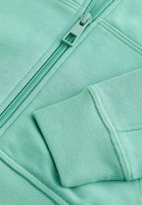 Next REGULAR FIT - Sweat zippé - mineral green