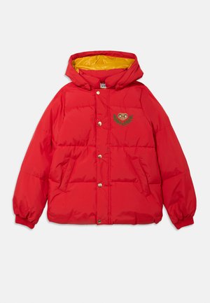 E.T. HOODED PUFFER UNISEX - Zimná bunda - red