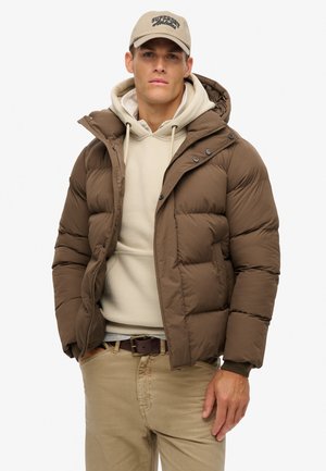 HOODED - Winterjacke - warm brown