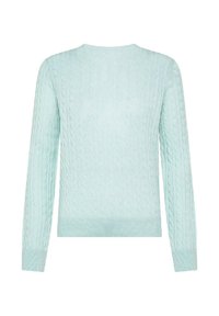 Maglione azzurro chiaro a maglia con maniche lunghe, scollatura rotonda e orlo e polsini a costine, che presenta un motivo superficiale testurizzato.