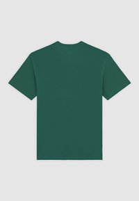 Zelené tričko s krátkým rukávem vyrobené z bavlny. Jednoduchý design s kulatým výstřihem a bez vzorů. Hladká textura a rovný lem.