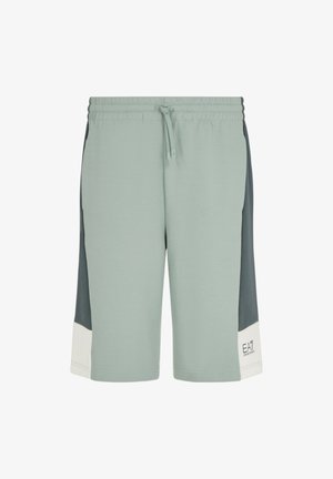Pantaloni corti verde chiaro realizzati in tessuto morbido, con pannelli laterali grigio scuro, una vita elasticizzata con cordino e un accento bianco con logo.