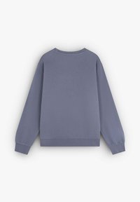 Sudadera gris de manga larga, con puños y dobladillo de canalé, corte relajado, textura suave y cuello redondo, vista desde la parte posterior.