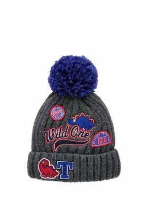 Grau gestrickte Mütze mit einem blauen Pom-Pom, verziert mit bunten Dinosaurier-Patches und dem Text "Wild One" in Rot sowie verschiedenen Logo-Akzenten.