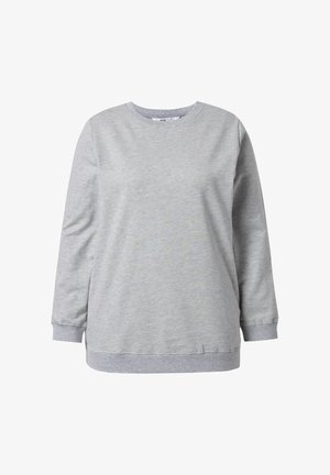 Sweat-shirt gris clair à manches longues avec col rond, poignets et ourlet côtelés, présenté sur un fond blanc.