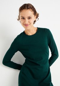 Πράσινο φόρεμα με μακριά μανίκια σε μαλακό πλεκτό ύφασμα, με στρογγυλή λαιμόκοψη, εφαρμοστή γραμμή και λεία υφή. Απλός σχεδιασμός χωρίς διακοσμητικά στοιχεία.