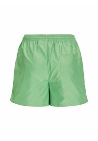 Pantaloni corti verdi, leggeri, con cintura elastica, una singola tasca posteriore e una trama liscia e lucida. Adatti per un look casual.