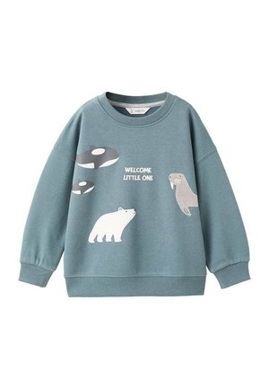 Sweat-shirt en coton teal, présentant des illustrations d'un ours polaire, d'une baleine, d'un morse, et le texte "BIENVENUE PETIT" en blanc. Poignets côtelés.