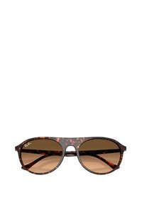 Kočičí sluneční brýle s velkými, kulatými skly. Hnědá gradientní skla a tenký rám. Logo Ray-Ban na horním levém skle.