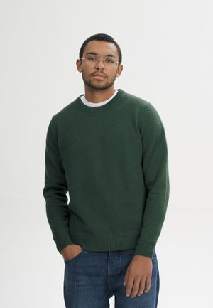 MELA, HERREN STRICKPULLOVER CHARUN - Trui - deep forest melange