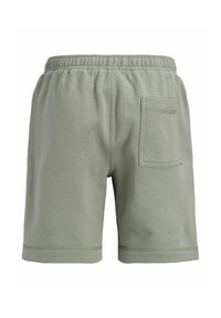 Jasnozielone, casualowe szorty z elastycznym pasem i jedną łatką-kieszenią z tyłu po prawej stronie, widoczne od tyłu.
