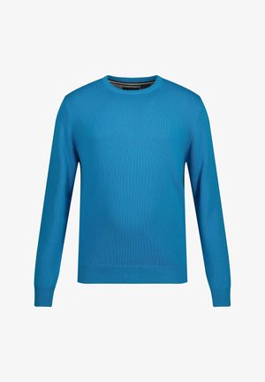 Maglione azzurro a maglia con collo rotondo, maniche lunghe e polsini e orlo a costine. Realizzato in un tessuto leggero con una texture liscia.