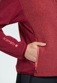 Käsi punase tekstureeritud jakki tõmblukuga taskusse sisse pandud, millel on esitletud "ICEPEAK" logo varrukal, mustade pükste kohal.