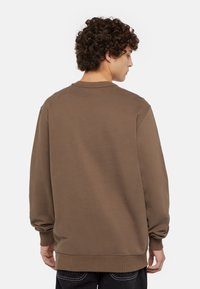 Felpa marrone con scollo rotondo, polsini a coste e vestibilità comoda. Materiale morbido, texture semplice, senza modelli o accenti visibili.