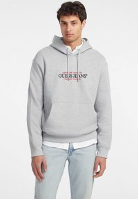 HOOD REG AMERICA TRAD - Sweater - grau
