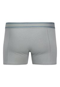 Grijze boxershorts van zachte stof, met een blauwe gestreepte tailleband. Het ontwerp is nauwsluitend en voorzien van platte naden voor comfort.