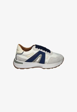 ALEXANDER SMITH, Sneaker low - grigio