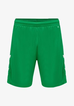Groene sportshorts van een gladde, lichte stof. Heeft een elastische tailleband en witte accenten aan de zijkanten.