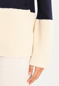 Strickpullover in Marineblau und Creme mit geripptem Muster und weiten Ärmeln. Akzentuiert durch ein schwarzes Etikett nahe der Schulternaht.