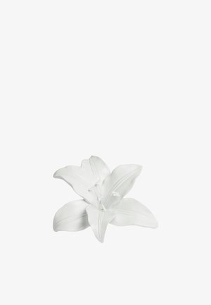 Next, Decoration - white