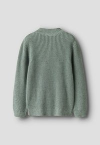 Hellgrüner, grob gestrickter Pullover mit langen Ärmeln und gerippten Bündchen und Saum, von hinten auf einem schlichten grauen Hintergrund gezeigt.