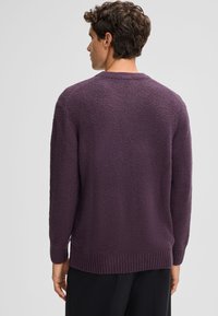 Maglione viola, con texture, dal collo rotondo, con polsini e orlo a costine, caratterizzato da una vestibilità ampia e un tessuto morbido. Vista posteriore mostrata.