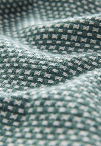 Textured fabric featuring a green and white grid pattern with woven details. The material appears soft with a slight sheen and depth.