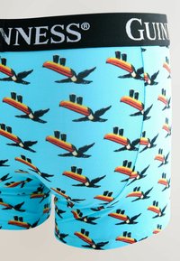 Helle blaue Boxershorts mit Muster aus fliegenden Tukanen und einem schwarzen Bund, der den fett gedruckten weißen Schriftzug „Guinness“ trägt.