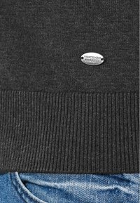 Ciemnoszary dzianinowy sweter z prążkowanym dołem. Na przodzie znajduje się srebrne owalne logo z napisem "Vincenzo Borgetti".