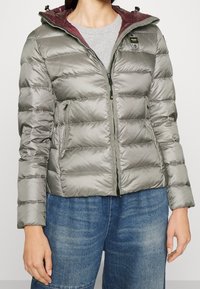 Veste matelassée grise avec coutures horizontales, fermeture éclair frontale et doublure de capuche bordeaux. Comprend deux poches latérales et une texture lisse et brillante.