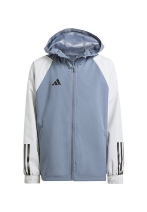 Light blue jacket with white sleeves, zip front, adjustable hood, and black accent stripes on cuffs; features a logo on the left chest.