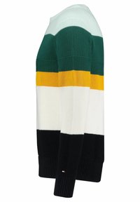 Pull rayé avec des sections vertes, blanches, jaunes et noires. Fabriqué en maille texturée, il possède des poignets et un ourlet côtelés. Accent logo sur le côté.