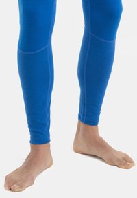 icebreaker MERINO 200 MID WEIGHT ZONEKNIT - Kalesony