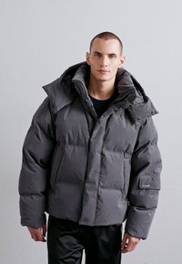Holzweiler NARVIK BRUSHED - Daunenjacke - grey