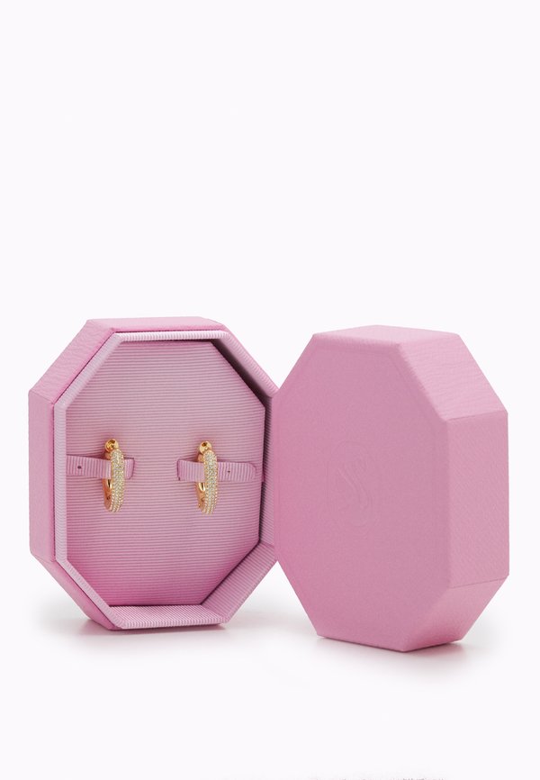 DEXTERA HOOP - Earrings3