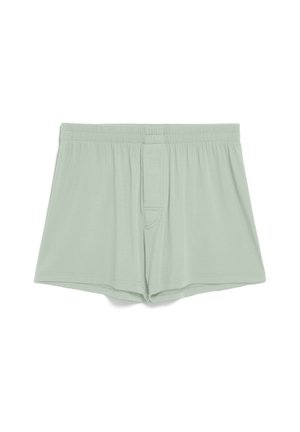 Lichtgroene herenboxers met elastische tailleband en functionele gulp, gemaakt van zacht, lichtgewicht stof.