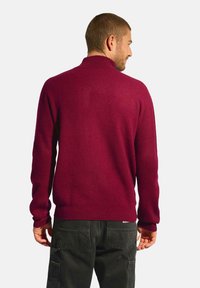 Burgundský pletený svetr s vysokým límcem, ribbovanou texturou a volným střihem, v kombinaci s tmavými cargo kalhotami. Zadní pohled ukazuje detaily šití.